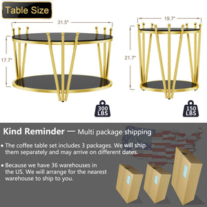 English Elm 31.5inch Modern Luxury Gold Coffee Table with Two-Tier Storage, Tempered Glass Top, Elegant Crown Design Black W1550P171454