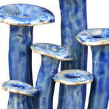 Wild Blue Mushrooms Set of 3