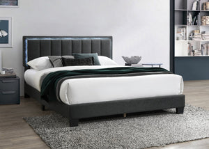 English Elm 1pc Full Upholstered Platform Bed Wool Fabric Channel Tufted Headboard with Led Lighting Charcoal B011P417512