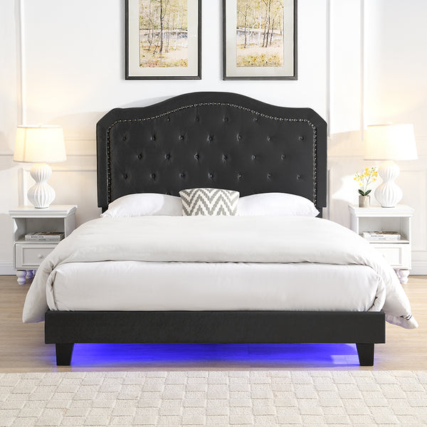 English Elm Upholstered Diamond Button Tufted Platform Bed with Velvet, LED Ambient Lighting, Sturdy Slats Black 65.75 L x 34.43 W x 4.72 H W2297P268385