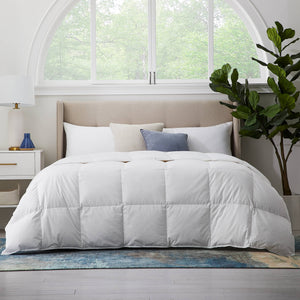 English Elm Dr. Oz EngineeredDown Comforter Twin/Twin XL White – All-Season Breathable Cotton, SilverScience Threads, Duvet-Tie Option B350P326222
