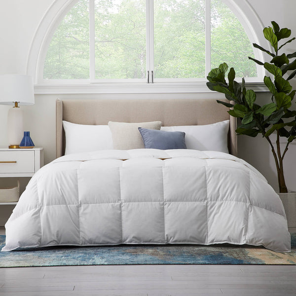 English Elm Dr. Oz EngineeredDown Comforter Twin/Twin XL White – All-Season Breathable Cotton, SilverScience Threads, Duvet-Tie Option B350P326222
