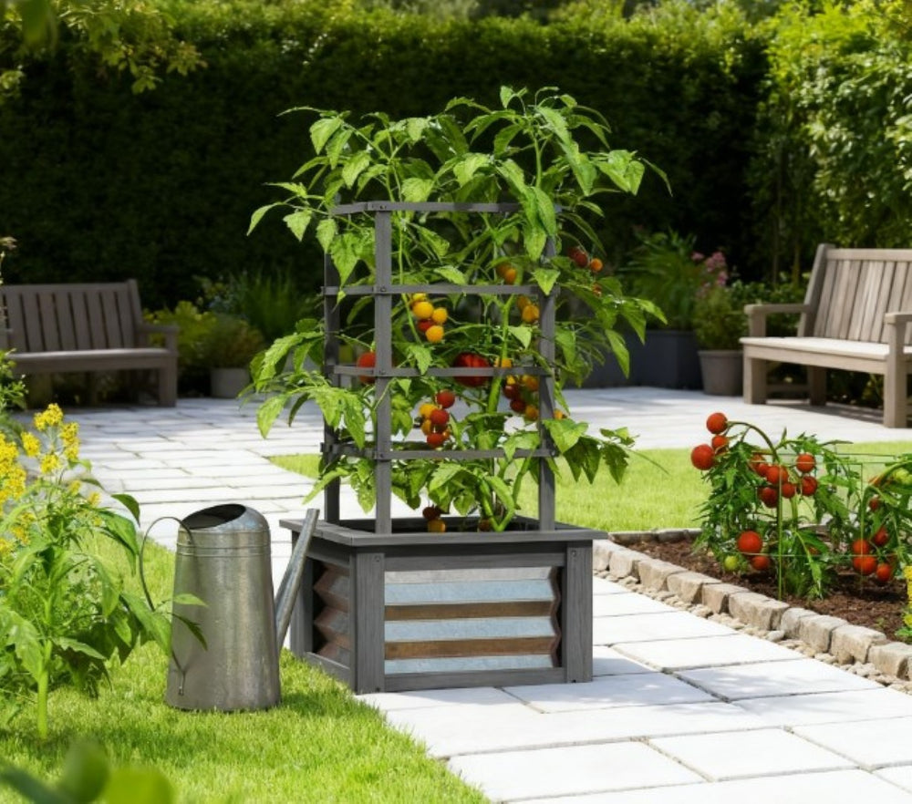 English Elm Versatile Raised Garden Bed with Trellis Fir Wood Galvanized Steel Patio Planter T3971P422655