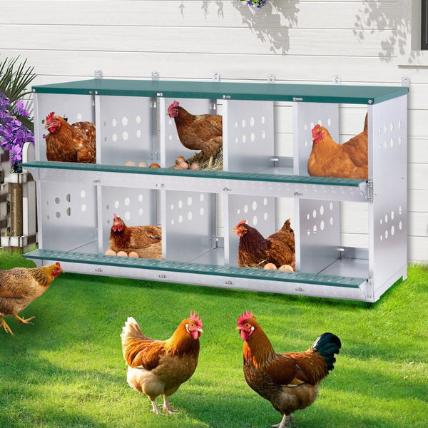 English Elm 10-bay Galvanized Steel Wall Mount Nesting Box for Chickens Ducks and Backyard Flocks W1422P355413
