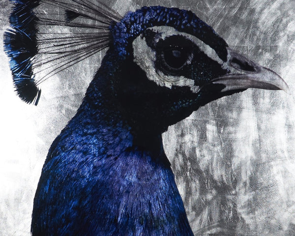 Sunpan THE PEACOCK - Luxurious 48" x 72" Artwork in Charcoal Frame - Stunning Metallic & Reflective Design A0262
