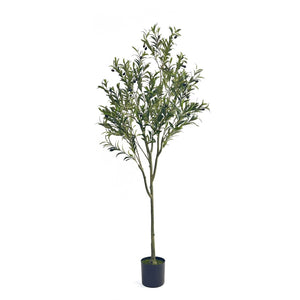 English Elm 180cm Artificial Olive Tree Faux Botanical with Flexible Iron Frame for Any Room 70528.00