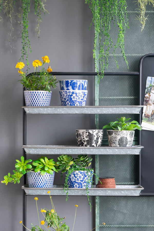 English Elm Set of 4 Terracotta Planters Distressed Blue White Glaze Antique Ceramic Style W2078P495142