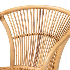 English Elm Modern Bohemian Rattan Woven Metal Dining Chairs Set of Two for Eclectic Spaces B2750P420353