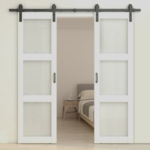 English Elm 30 in Matte Black Steel Sliding Barn Door Frosted Glass Privacy Panel with Hardware B2763P483208