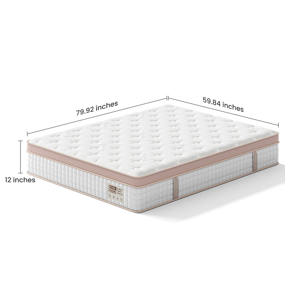 English Elm 12 Inch Queen Gel Foam Pocket Spring Hybrid Mattress Firm Support Spinal Relief B2716P455241