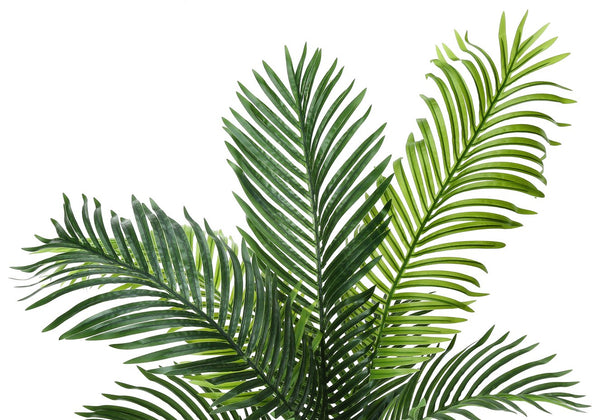 English Elm Artificial 47" Tall Evergreen Tree in Black Pot with Real-Touch Variegated Leaves, No Maintenance Decor Green 50 L x 8 W x 8 H B2710P220036