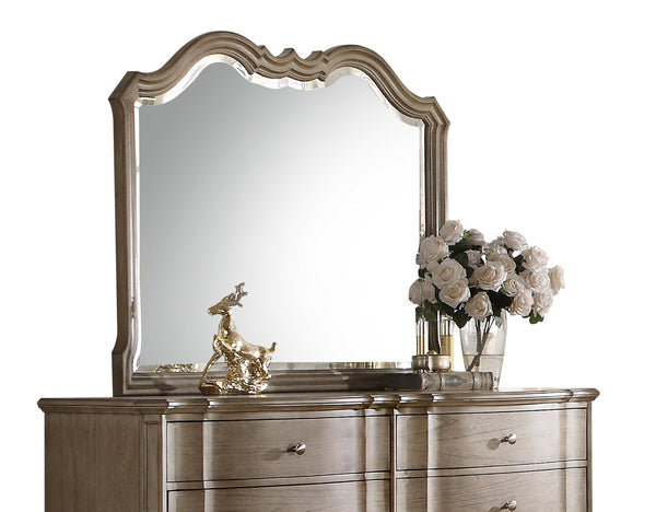 English Elm Chelmsford Taupe Antique Finish Mirror with Beveled Edge 41"L x35"H — Elegant Light-Enhancing Wall Accent B2726P261252
