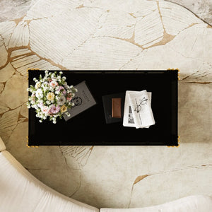 English Elm Modern Glam Rectangular Coffee Table with Mirrored Top Gold Sculptural Frame Open Shelf Black N735P380099B