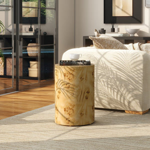 English Elm Jennifer Taylor Home - Nebula Burl Wood 22" Accent Pillar Side Table in Warm Natural Brown — Unique Grain, Durable Plinth B2719P405638