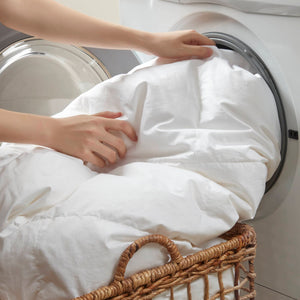 English Elm 1 Plush Full/Queen 100% Cotton Comforter 90x94 Soft Hypoallergenic Breathable Bedding Set B035P366555