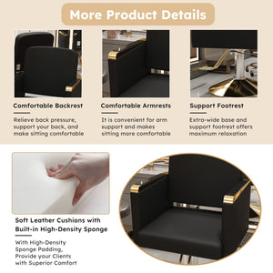 English Elm Hydraulic Salon Chair with Foot Pump Swivel Base for Barber Tattoo Spa Use W2700P410956