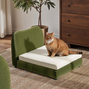 English Elm Roman Velvet Pet Sofa with Backrest for Small Dogs and Cats Modern Living Room B2719P448984