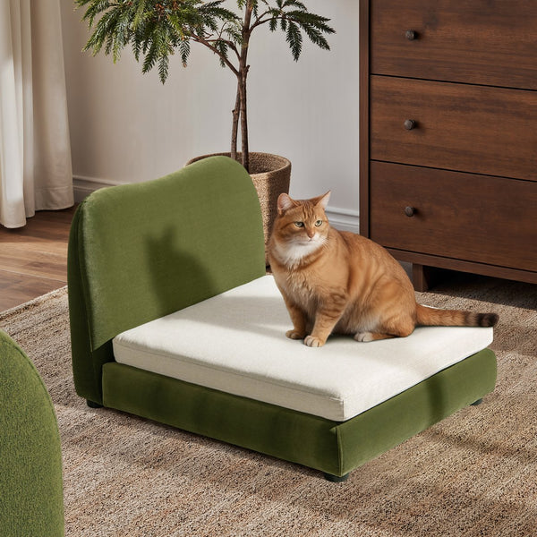 English Elm Roman Velvet Pet Sofa with Backrest for Small Dogs and Cats Modern Living Room B2719P448984