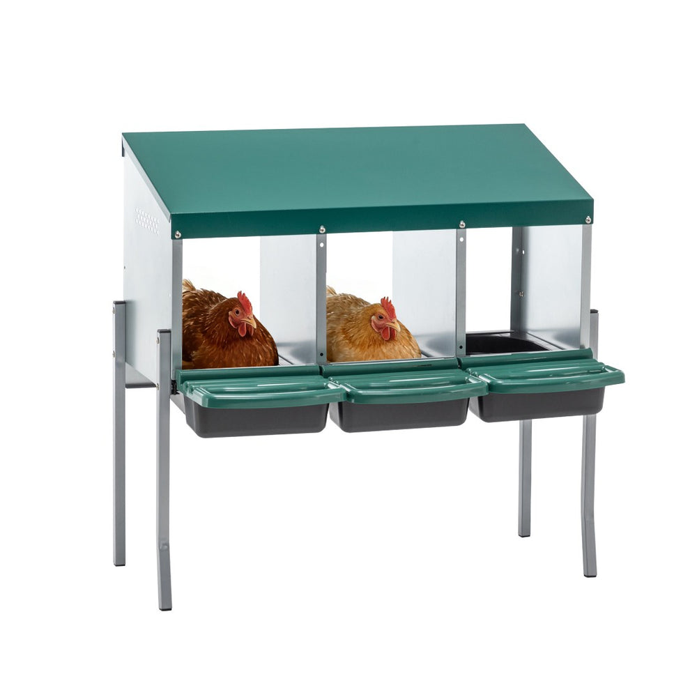 English Elm Nesting Box Galvanized Steel 3 Compartment Chicken Laying Station with Roll Out Tray W1422P292940