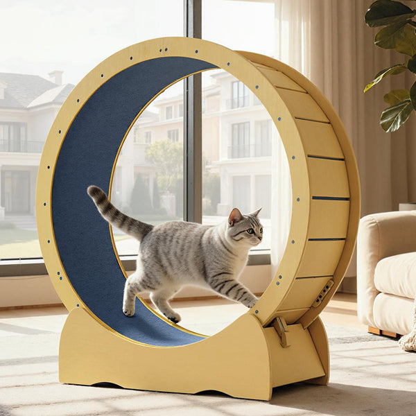 English Elm Cat 42" Exercise Wheel for Indoor Cats - Solid Acacia Wood, Quiet TPE Rollers, Anti-Pinch Design & Lockable Safety W2500P293097