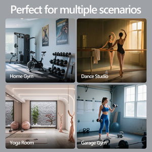 English Elm 63x24 Inch Tempered Glass 2-Pack Home Gym Mirror, Shatterproof Framed Silver, HD Reflection for Fitness T3757P347060