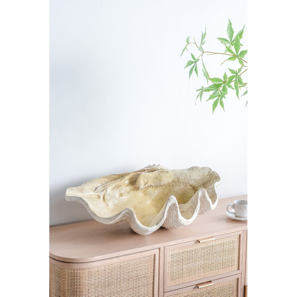 English Elm 25.3x16.5x8.5" Oversized Clam Shell Sculpture Glossy Coastal Decor Display Piece W2078P491173