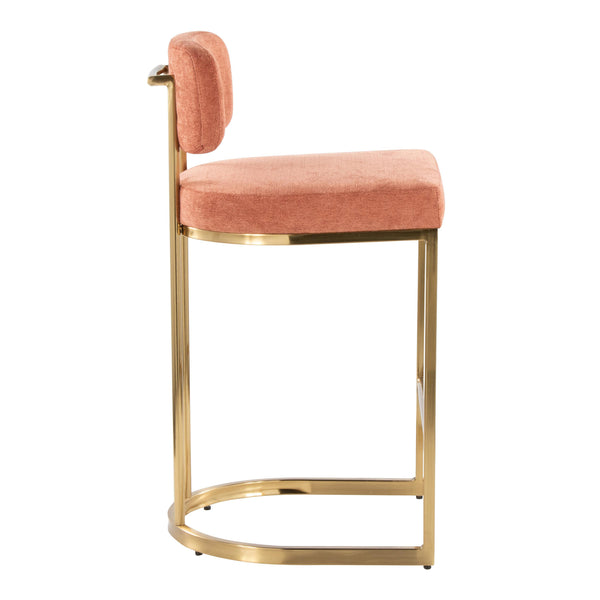 English Elm Fixed-height Barstools Powder Coated Steel Frame Brown Upholstered Seat Set of Two Salmon B202P471213