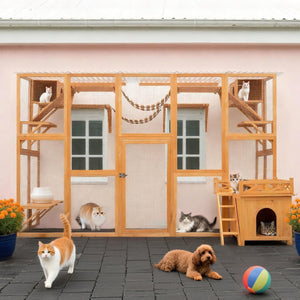 English Elm Weatherproof Pine Wood Catio Outdoor Cat Enclosure with Platforms Ramps and Pvc Roof N843MP003N