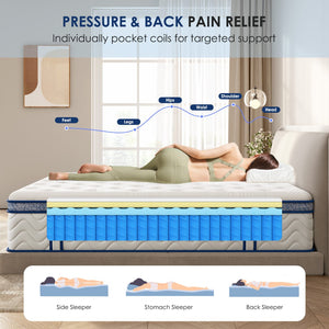 English Elm Queen Size Hybrid Mattress - 10 Inch Medium-Firm Comfort, Pocketed Coils, Hypoallergenic Design W2889P335714-GIGA