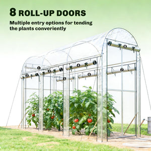 English Elm Hoop Tunnel Walk-in Greenhouse with Galvanized Steel Frame and Uv Cover for Gardens T3971P454902