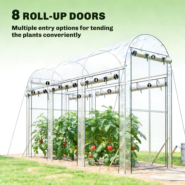 English Elm Hoop Tunnel Walk-in Greenhouse with Galvanized Steel Frame and Uv Cover for Gardens T3971P454902