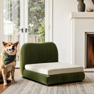 English Elm Roman Velvet Pet Sofa with Backrest for Small Dogs and Cats Modern Living Room B2719P448984