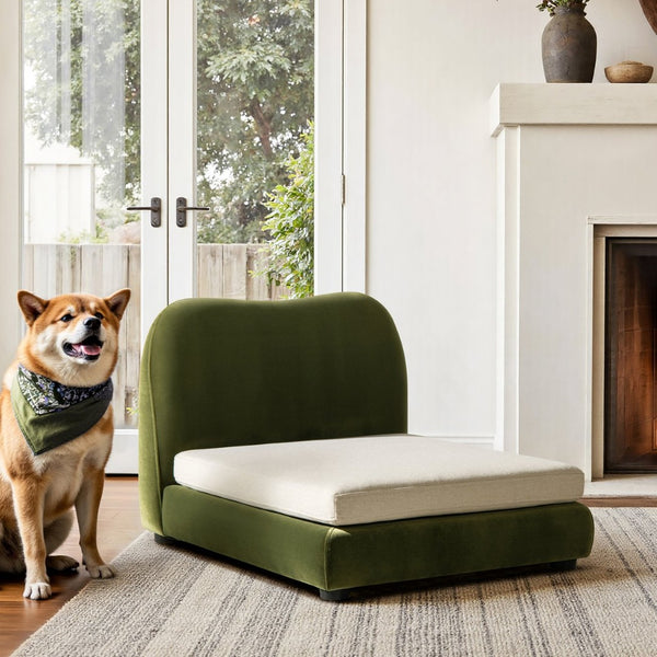 English Elm Roman Velvet Pet Sofa with Backrest for Small Dogs and Cats Modern Living Room B2719P448984