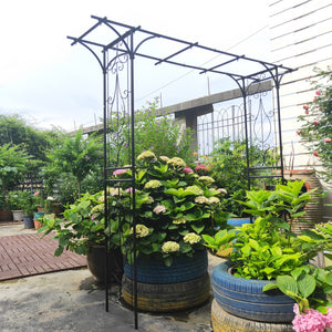 English Elm Metal Powder-coated Garden Arch Galvanized Steel Frame for Climbing Roses Outdoor W1586P148590
