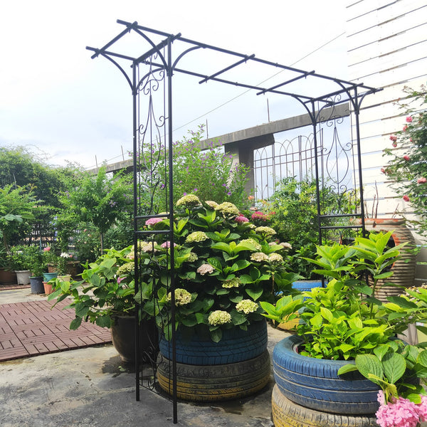 English Elm Metal Powder-coated Garden Arch Galvanized Steel Frame for Climbing Roses Outdoor W1586P148590