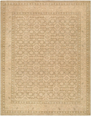 Surya Agra Hand-knotted Wool Area Rug with Intricate Traditional Indian Pattern for Large Rooms 9' x 12' Rectangle AAA2300-912
