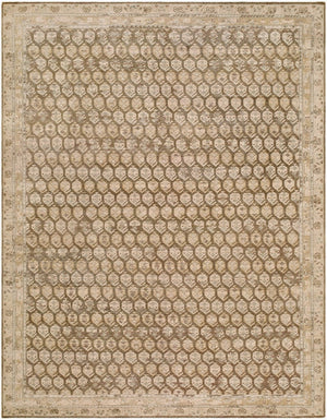 Surya Agra Hand-knotted Wool Area Rug with Plush Pile and Retro Geometric Design for Living Rooms 12' x 15' Rectangle AAA2304-1215