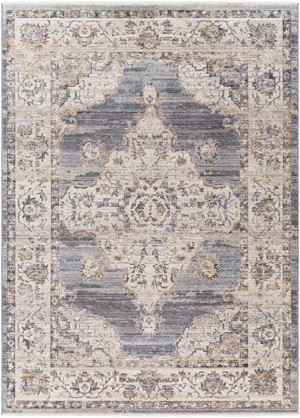 Aida AAD-2300 8'10" x 13' Machine Woven Rug AAD2300-81013  Ivory, Gray, Charcoal, Tan, Deep Teal Surya
