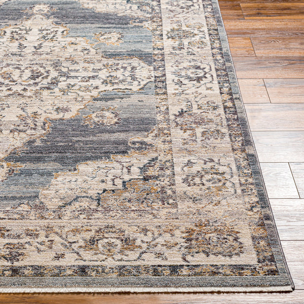 Aida AAD-2300 8'10" x 13' Machine Woven Rug AAD2300-81013  Ivory, Gray, Charcoal, Tan, Deep Teal Surya
