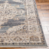 Aida AAD-2300 8'10" x 13' Machine Woven Rug AAD2300-81013  Ivory, Gray, Charcoal, Tan, Deep Teal Surya