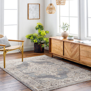 Livabliss Aida Traditional Ornamental Polyester Area Rug Turkish Machine Woven Living Room AAD2300-81013