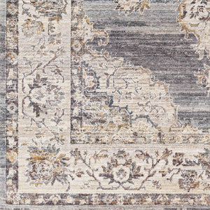 Livabliss Aida Traditional Ornamental Polyester Area Rug Turkish Machine Woven Living Room AAD2300-81013