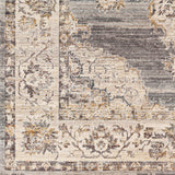 Aida AAD-2300 8'10" x 13' Machine Woven Rug AAD2300-81013  Ivory, Gray, Charcoal, Tan, Deep Teal Surya