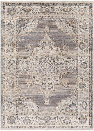 Aida AAD-2301 8'10" x 13' Machine Woven Rug AAD2301-81013  Beige, Medium Gray, Tan, Gray, Charcoal, Deep Teal Surya