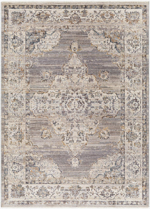 Livabliss Aida Traditional Fringe Accent Rug Soft Polyester Pile for Entryway or Bedside Beige, Medium G 2'7" x 4'11" AAD2301-27411