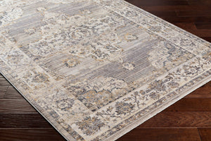 Livabliss Aida Traditional Fringe Accent Rug Soft Polyester Pile for Entryway or Bedside Beige, Medium G 2'7" x 4'11" AAD2301-27411
