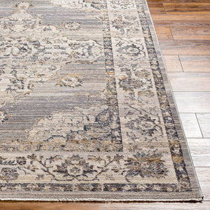 Livabliss Aida Traditional Fringe Accent Rug Soft Polyester Pile for Entryway or Bedside Beige, Medium G 2'7" x 4'11" AAD2301-27411