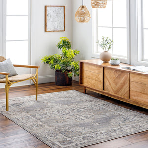 Livabliss Aida Traditional Fringe Accent Rug Soft Polyester Pile for Entryway or Bedside Beige, Medium G 2'7" x 4'11" AAD2301-27411