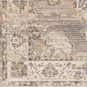 Livabliss Aida Traditional Fringe Accent Rug Soft Polyester Pile for Entryway or Bedside Beige, Medium G 2'7" x 4'11" AAD2301-27411