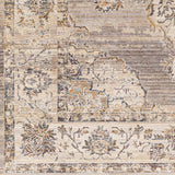 Aida AAD-2301 8'10" x 13' Machine Woven Rug AAD2301-81013  Beige, Medium Gray, Tan, Gray, Charcoal, Deep Teal Surya